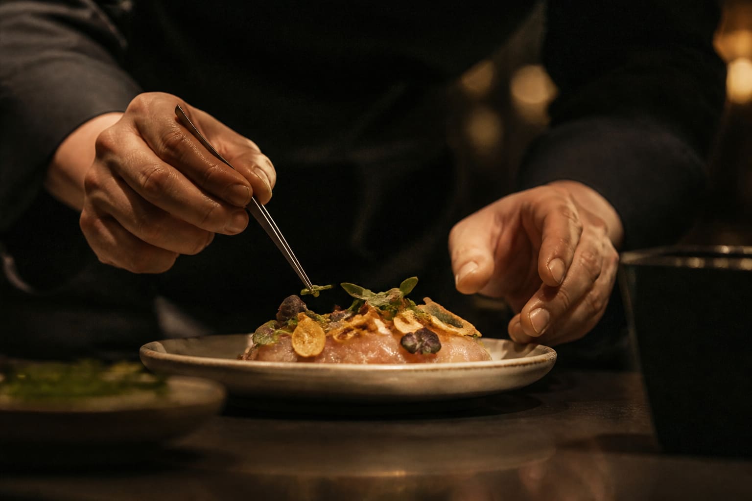 Dressage à la main d'un plat AMBRE